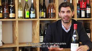 Beaujolais nouveau notre sélection intraitable [upl. by Ahsila]