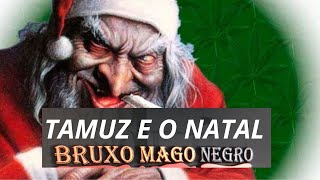 Tamuz e o pinheiro de Natal zap51997166597 [upl. by Spitzer]