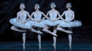 Swan Lake – Dance of the cygnets The Royal Ballet [upl. by Akemej]