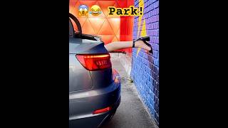 Parking skills 😱 funny car funnyvideo skills epic epicpartner couple couplegoals park [upl. by Kcirnek]