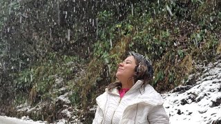 Snowfall Live 2024  First SnowFall Dhanolti  Mussoorie  Kanatal  Uttarakhand [upl. by Cariotta633]