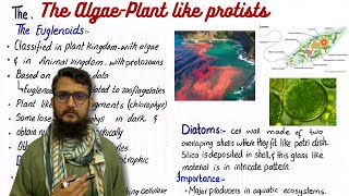 The algae plant like protists  class 11 [upl. by Glasgo266]