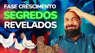 🌱🐓 Guia Completo Segredos do Sucesso da Fase de Crescimento das Galinhas Caipiras Aprenda Agora quot [upl. by Aloeda]