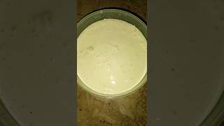 Creamy shawarma sauce racipe White sauce youtubeshorts [upl. by Brufsky]