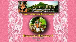 Bhagavata Hrudayam 1Tamil [upl. by Ecinej]