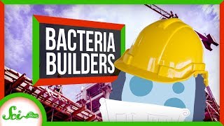 The Secret to Super Strong Concrete Is Bacteria [upl. by Bernette]