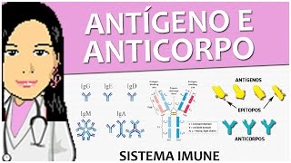 Imunologia 08  Antígeno e Anticorpo  Vídeo aula de sistema imune [upl. by Kate]