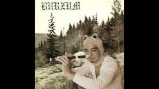 Rundgang um die transzendentale Säule der Singularität Burzum Cover [upl. by Yokoyama]