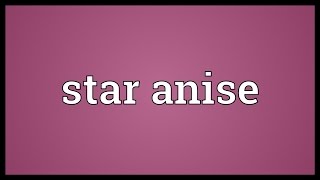 Star anise Meaning [upl. by Aral]