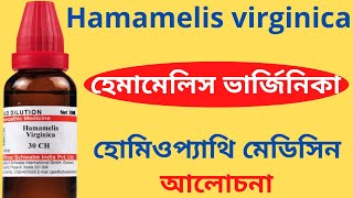 Hamamelis Virginica Homeopathic Medicine Explain Hamamelis vir Q Hamamelis 30 হেমামেলিস ভার্জিনিকা [upl. by Korb403]