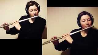 Stromae cover Tous les mêmes beatbox flute [upl. by Retniw]