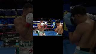 KNOCKOUT OF THE YEAR 2024 Angelo Leo knocks out Luis Alberto Lopez [upl. by Nnairet]