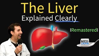 Liver Explained Function Pathology Diseases amp Cirrhosis [upl. by Desai]