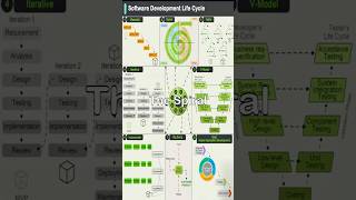 Software Development Life Cycle [upl. by Hickie]