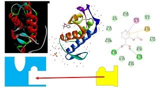 Drug  Target Docking amp Results Analysis Using PyRx  Vina DS amp PyMol  P1 [upl. by Ahsin]