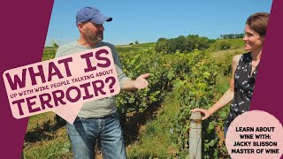 What is Terroir in Wine Why does it Matter [upl. by Etnor]