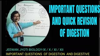 DIFFERENT TYPES OF QUESTIONS OF DIGESTION AND DIGESTIVE SYSTEM WITH DIAGRAMS [upl. by Ecnerual]