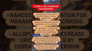 Tumor Lysis Syndrome Management [upl. by Hcire303]