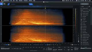 ELIMINAR CLICK  Izotope rx De click [upl. by Eniloj519]