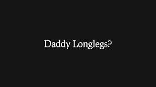 Are Daddy Longlegs Spiders Re 8 Animal Misconceptions Rundown [upl. by Ecirtaemed]