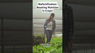 Biofortification Boosting Nutrition in Crops trendingvideos farming plantsgrowth [upl. by Vadim]