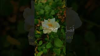 Quran Recitation no27 quran quranrecitation viralvideo [upl. by Anetsirk]