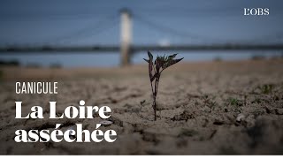 Les bords de Loire à sec dans le MaineetLoire à cause de la sécheresse [upl. by Schiro]