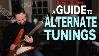 A Guitar Players Guide to Alternate Tunings [upl. by Alliuqaj]