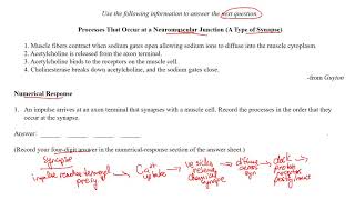 Synapse Biology 30 Diploma Practice Question [upl. by Alyss136]