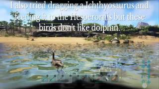 Hesperornis tame Ark survival evolved PS4 [upl. by Aled]