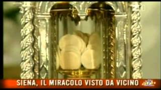 IL MIRACOLO EUCARISTICO DI SIENA  Lunico Miracolo Eucaristico in atto [upl. by Nugesulo]