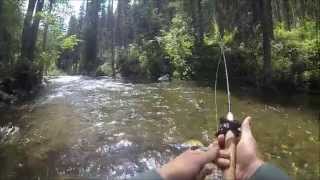 Fly Fishing Hyalite Creek in July [upl. by Othella]