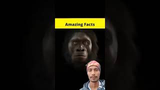 Top 3 real stories and facts 🤣🤣😮 amazingfacts factsinhindi amazing mrfactstory allfacts shrots [upl. by Triley]