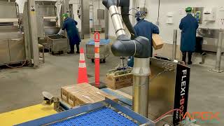 Robotic Palletizers and Palletizing Apex Motion Control [upl. by Katya]