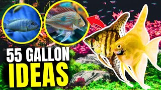 Best Fish for 55 Gallon Tanks Plus Tips amp Stock Ideas [upl. by Kendal]