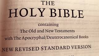 NRSV Bible Tobit Chapter 2 Apocryphal Audiobook [upl. by Crompton]