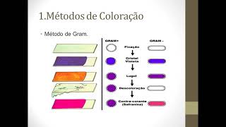 Introdução a Microbiologia ClínicaAULA 01 [upl. by Anytsirhc682]