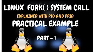 Fork  PID  PPID  Linux  System Calls  C programming  OS  2024 [upl. by Lever869]