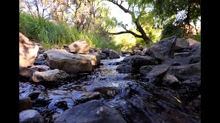 Soothing Nature Escape at Golden Gate Highlands National Park [upl. by September]