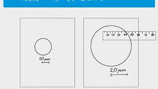 AS Biology  Using scale bars to calculate magnification [upl. by Enialehs]