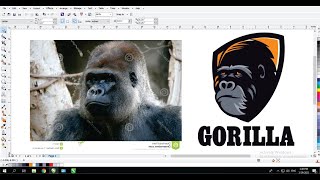 Learn Coreldraw Simple Techniques with Ahsan Sabri  Gorilla Mascot Logo [upl. by Maighdiln538]