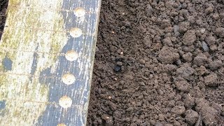 Sowing Radish and Spring Onions in a raised bed made easy with a planting board [upl. by Suixela]