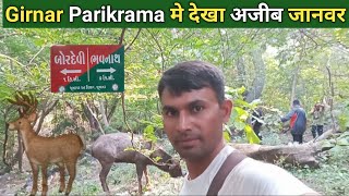 Girnar Parikrama  Bordevi Junagadh  Bhavnath Junagadh live  Vlog [upl. by Sulakcin]