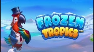 Frozen Tropics Slot Bonus Buy SENSATIONAL Pragmatic Play [upl. by Auqenes411]