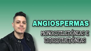 Angiospermas  Monocotiledôneas e Eudicotiledôneas [upl. by Robbi]