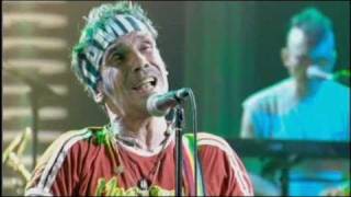 Manu Chao  Bienvenida A Tijuana 2007 Private concert  song7 [upl. by Sylera609]