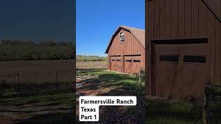 Farmersville Ranch Texas ❤️ usa countryside youtubeshorts trending trendingshorts [upl. by Settera]