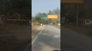 Jim Corbett jimcorbett JimCorbettnationalpark shortvideo shorts nature [upl. by Owen]