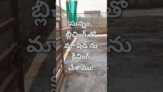 మా పొట్టేళ్ల ఫార్మ్ క్లీనింగ్ kadiri sheepfarmingintelugu కదిరి కదిరిసంత disinfect sheepfarm [upl. by Claiborne]