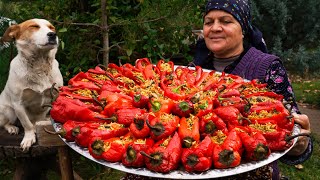 From Garden to Plate  Traditional Stuffed Bell Peppers [upl. by Kcirej]